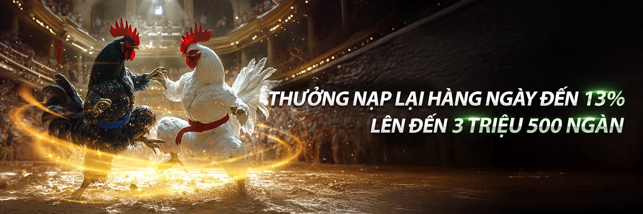 Sân vận động với ánh đèn rực rỡ và biểu tượng cá cược thể thao dola789 win
